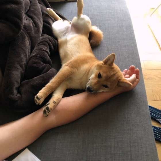 和香ちゃん
