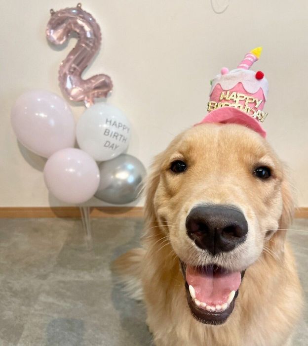 2才の誕生日をお祝いしてもらううにちゃん