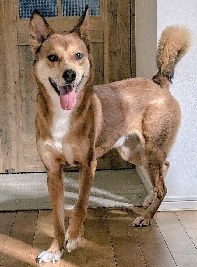 おとなになったカンタくん