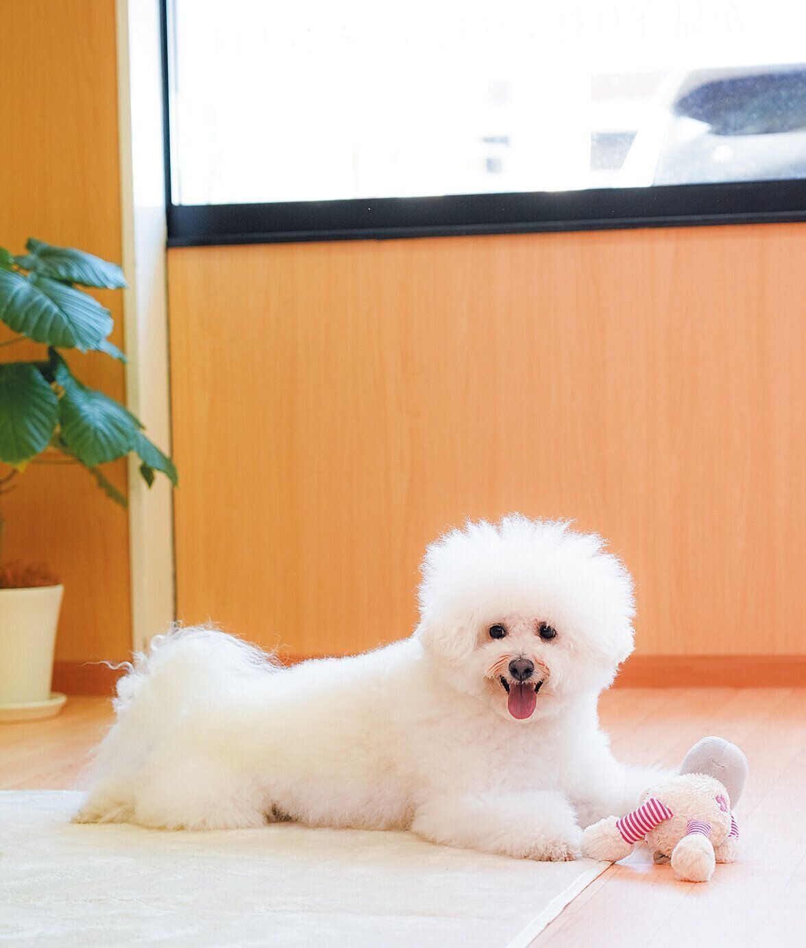 撮影／殿村忠博