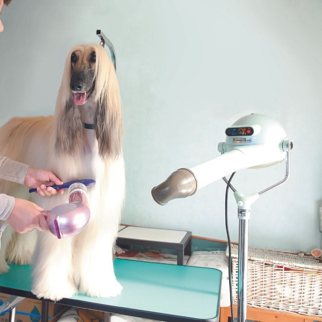 スタンド＆ハンドドライヤーの２台使い！