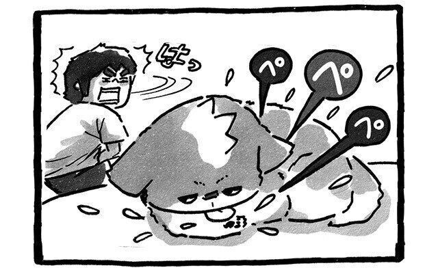 シーズー犬マンガてんぽshihtzu