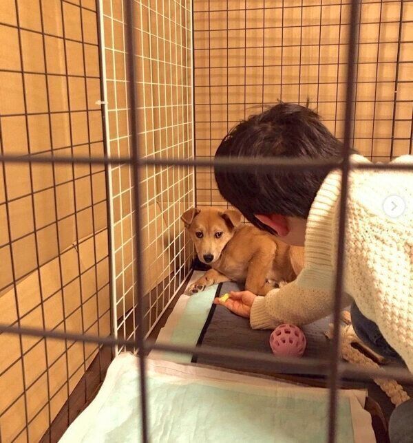 さくらちゃんと次男くん