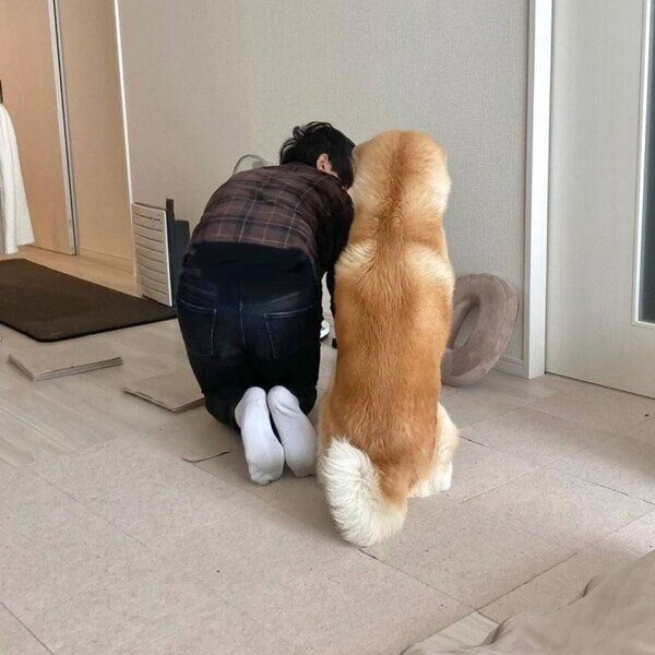 マット張り替え作業を見つめる大吉くん