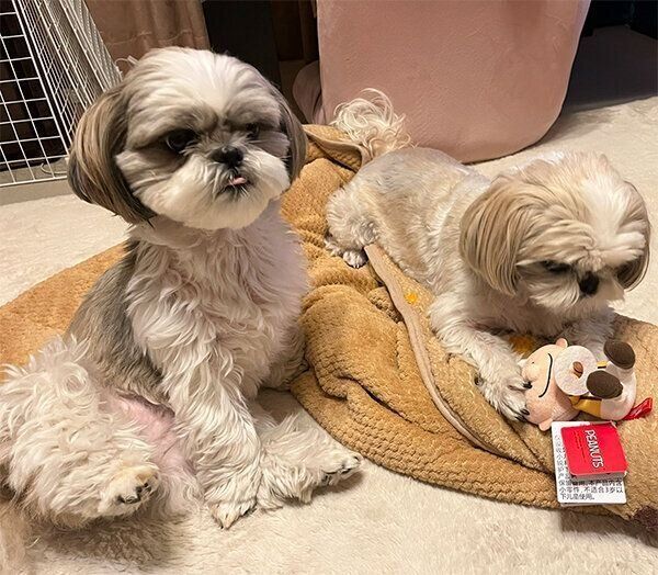 不思議な座り方をしながら“マヌケな顔”をするえまちゃん