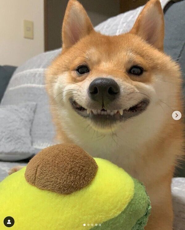 「ニッ」とした表情をするうにくん