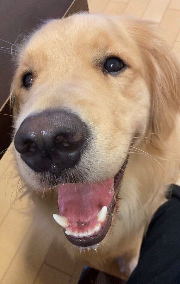 笑顔が可愛いまるくん