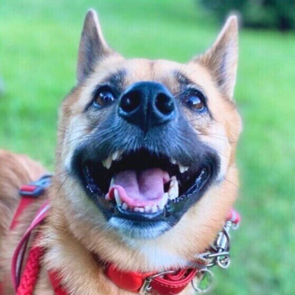 Xgkheikx3zab2m Xgkheikx3zab2m