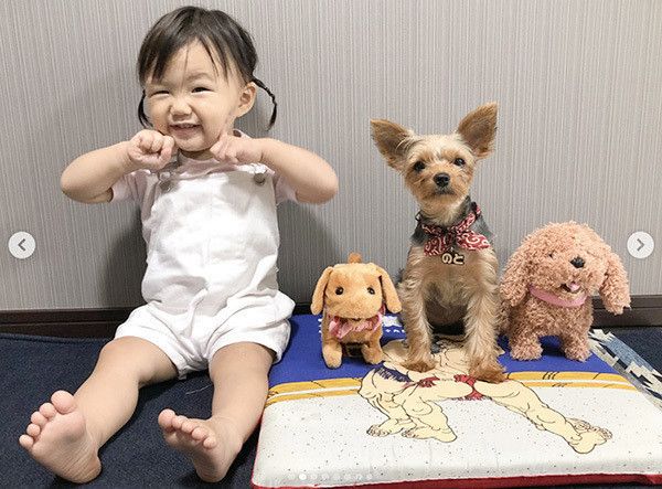 ヨークシャー・テリアと子ども