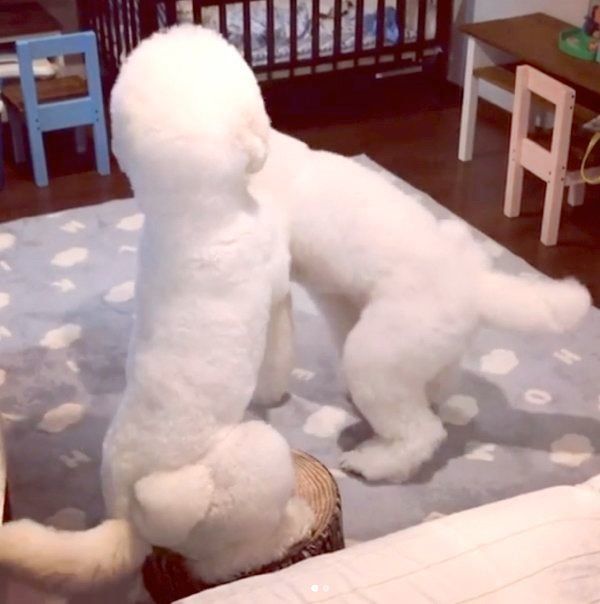 切り株に座るがっくんと立ち去るりっくん