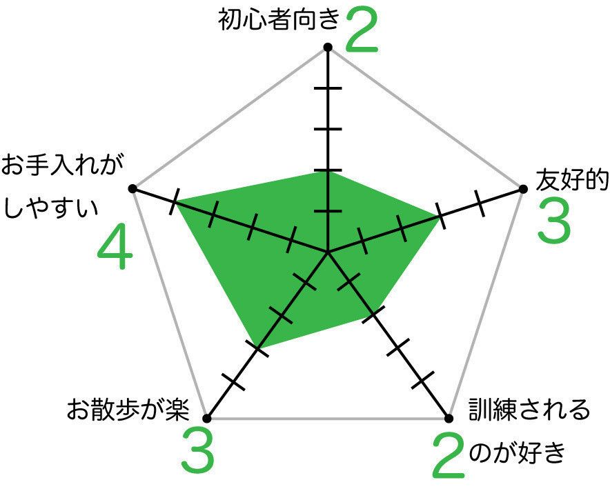 バセット・ハウンドのグラフ
