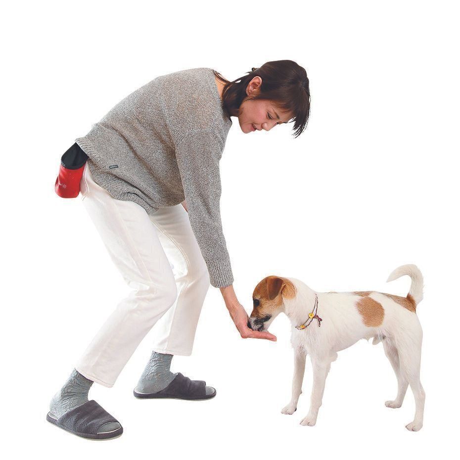 撮影／尾﨑たまき