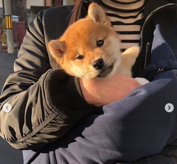 生後3カ月のころに撮影したゴンくん