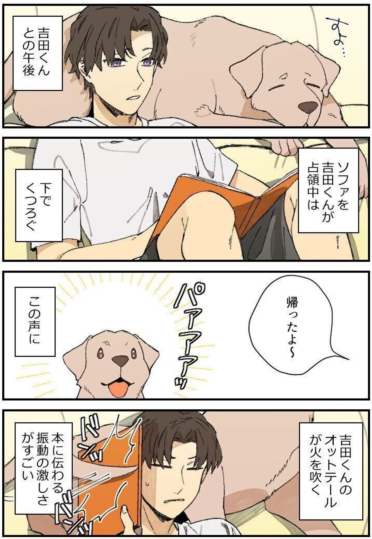 連載漫画 暮瀬姉弟と吉田くん 第百七十二 吉田くんと尻尾対応 いぬのきもちweb Magazine 連載漫画 暮瀬姉弟と吉田くん 第百七十二 吉田くんと尻尾対応 いぬのきもちweb Magazine