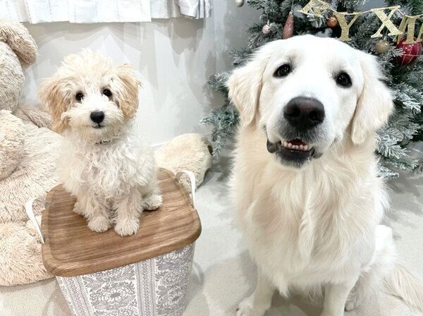 見つめるむうさんとめるくん