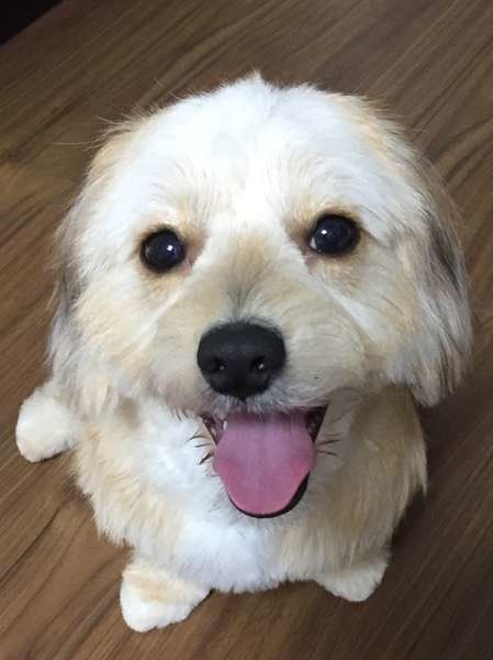 なでなでして〜。