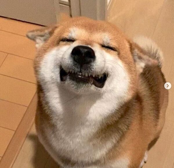 全力ヒコーキをするHanaちゃん