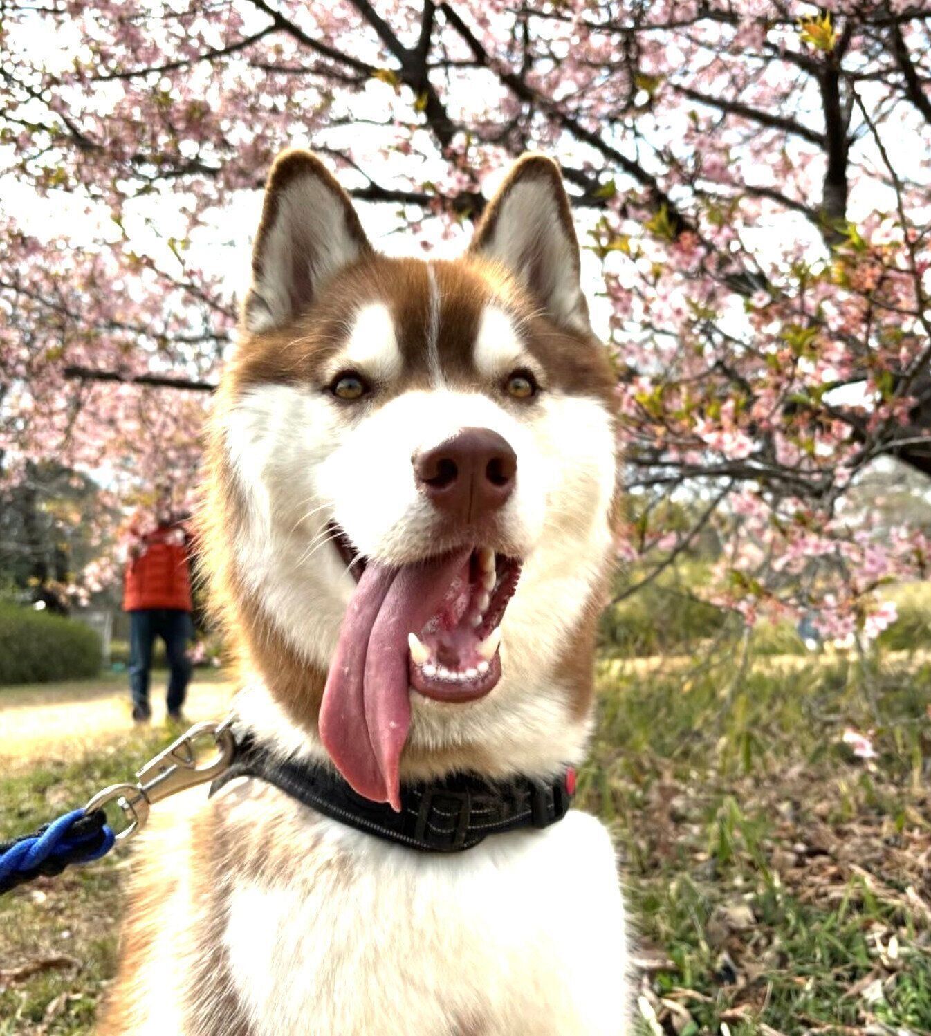 笑顔のるいくん