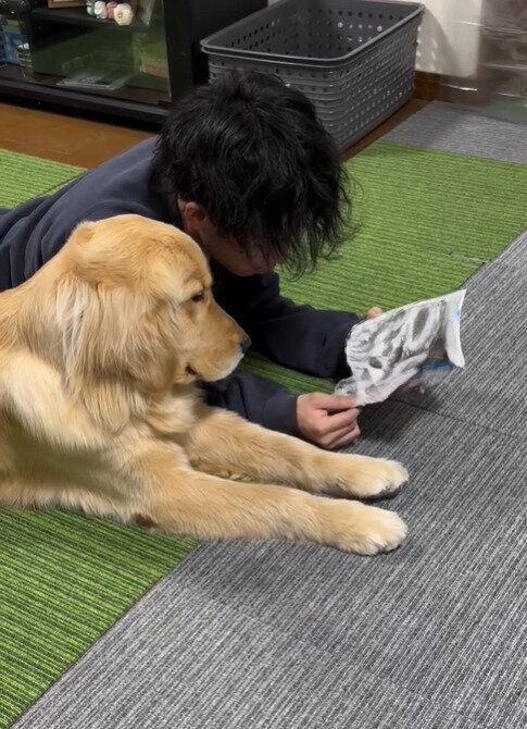 仲よく並んで読書中のべるくんとにいに