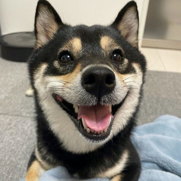 笑顔が可愛いまろくん