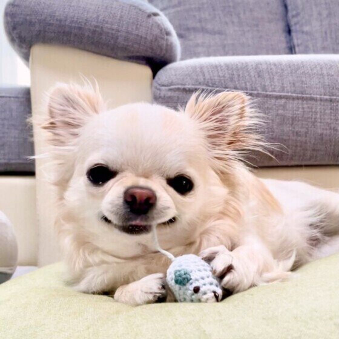 67agdhgixhvbkm 67agdhgixhvbkm