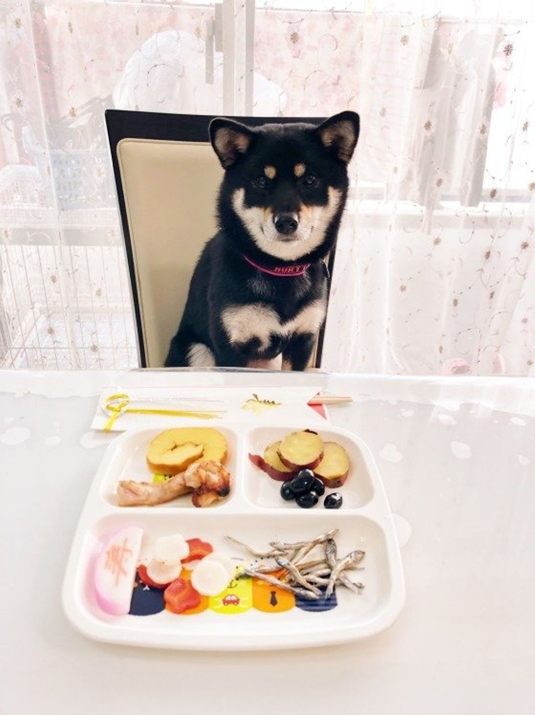 年末年始 犬に与えてはいけない危険な食べ物6つ いぬのきもちweb Magazine 年末年始 犬に与えてはいけない危険な食べ物6つ いぬのきもちweb Magazine