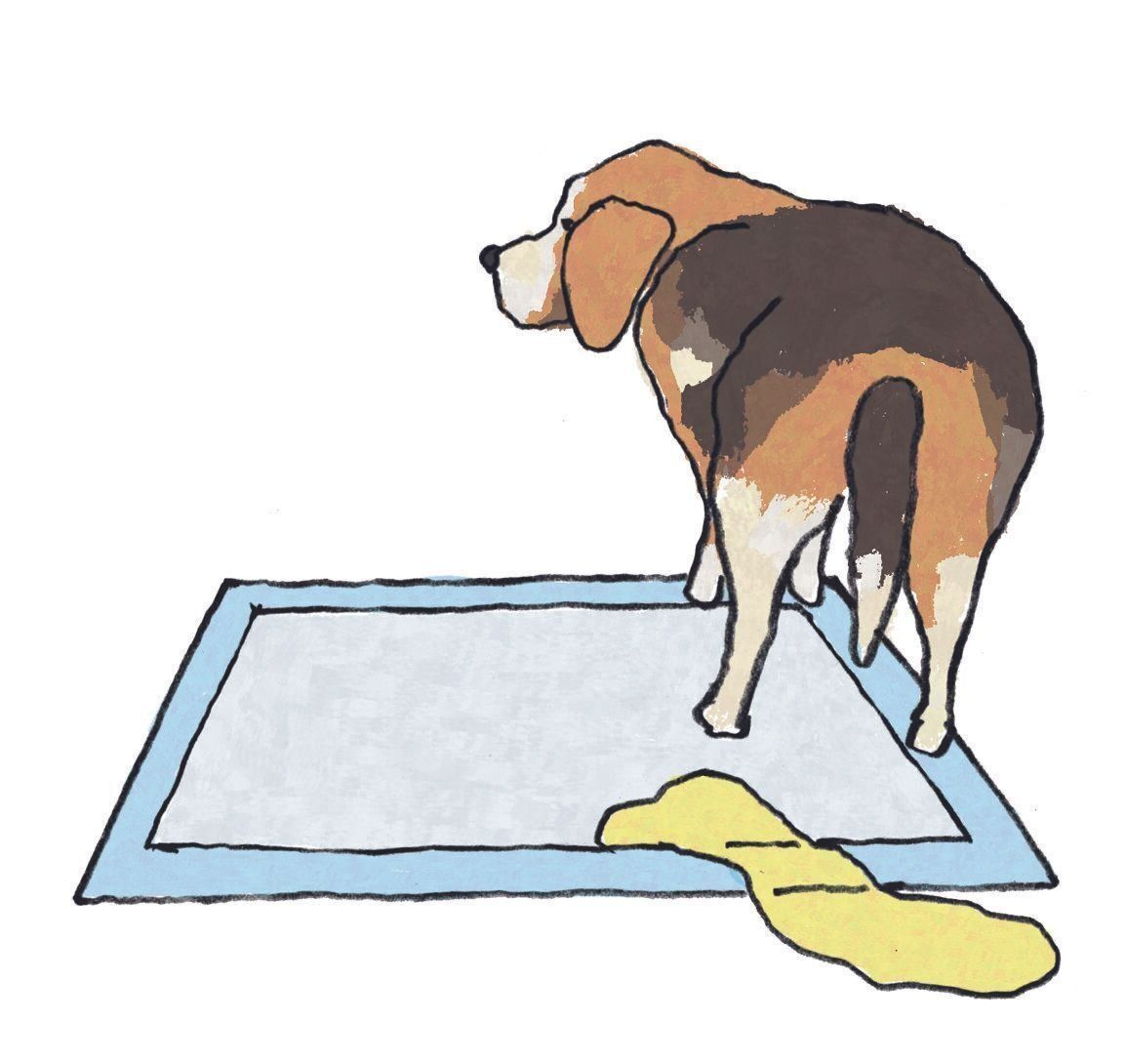 イラスト／五嶋直美