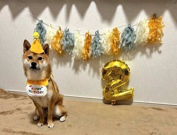 2才になったサクくん