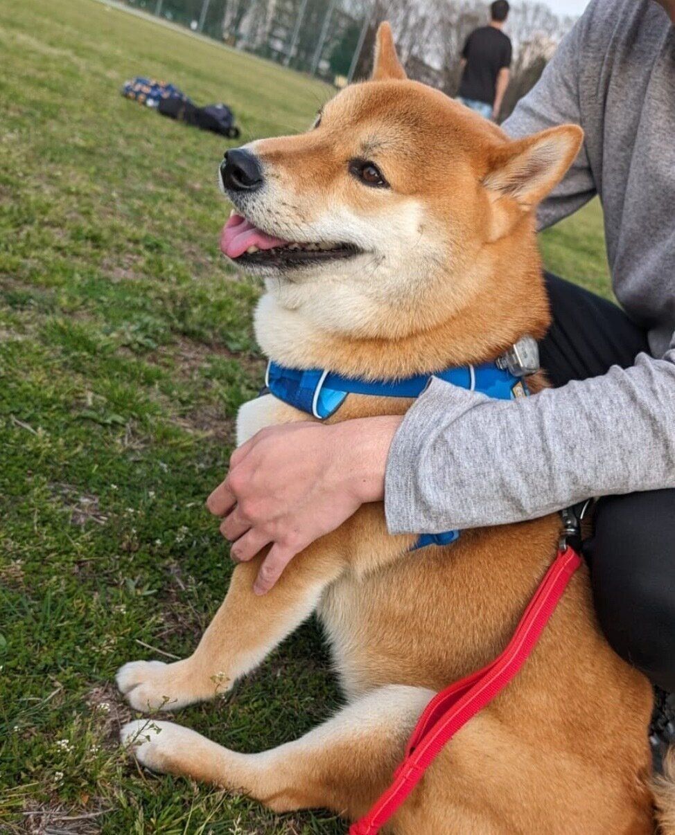 楽しそうな太郎くん