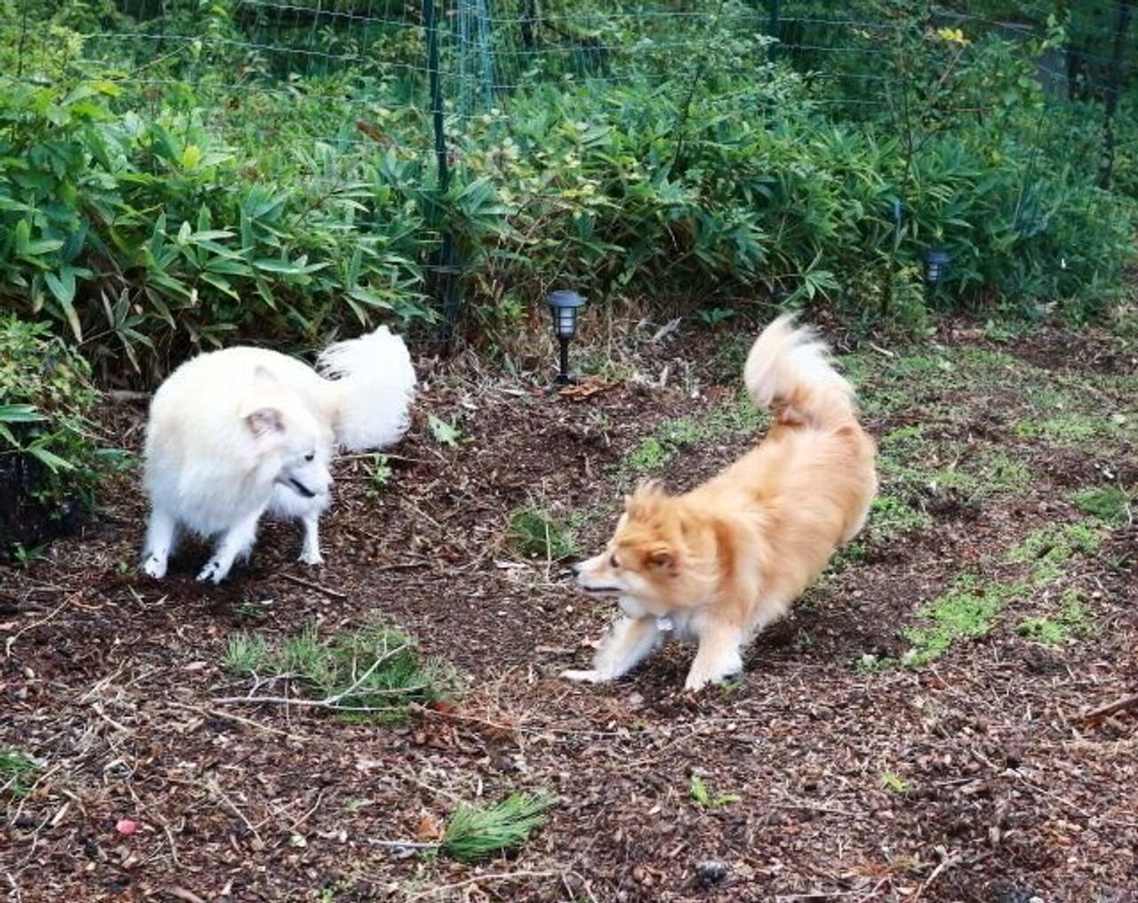 Qlmf Adcsthk1m Qlmf Adcsthk1m