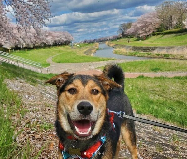 笑顔が可愛いラックくん