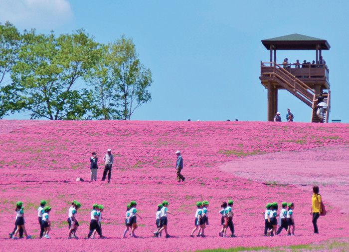 栃木　市貝町芝ざくら公園