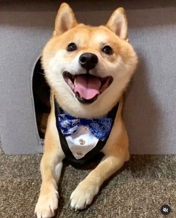 笑顔の豆千代くん