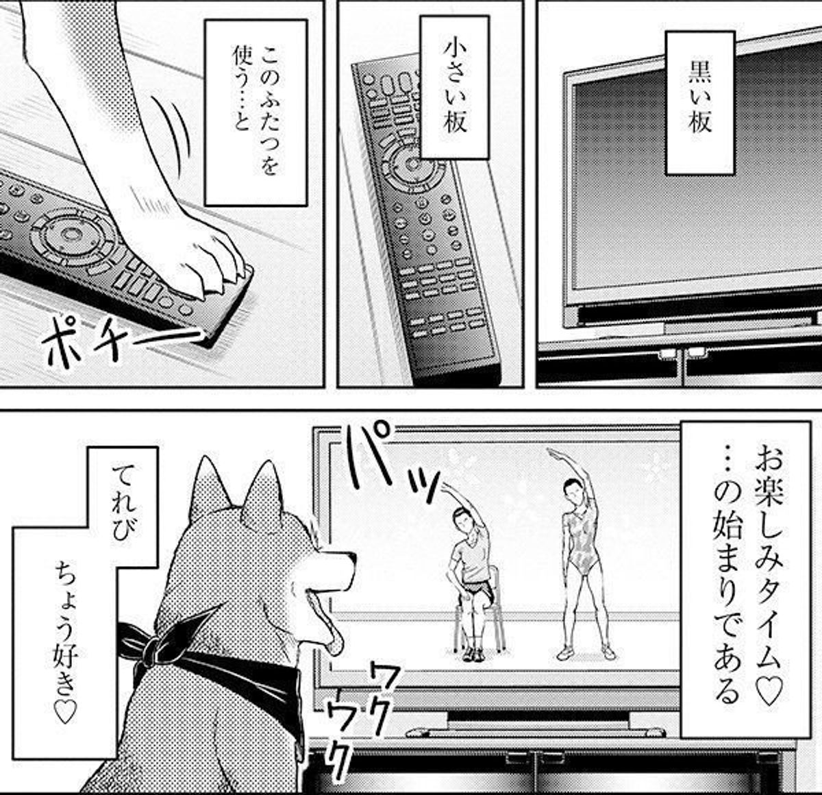 マンガで学ぶ 犬がテレビをじっと見つめる理由は いぬのきもちweb Magazine マンガで学ぶ 犬がテレビをじっと見つめる理由は いぬのきもちweb Magazine