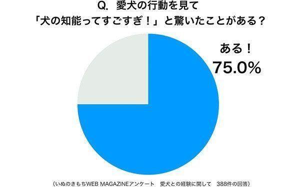 グラフ：愛犬の行動を見て「犬の知能ってすごすぎ！」と驚いたことがある？