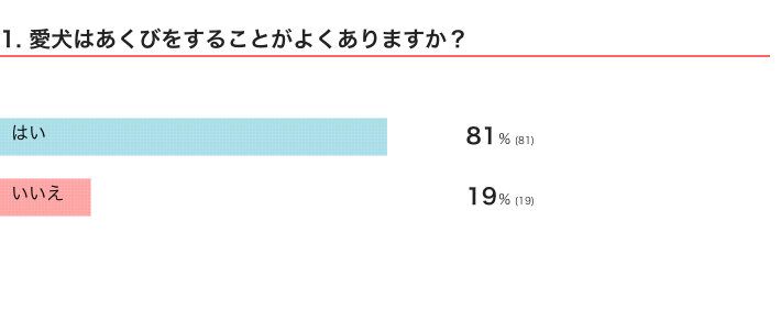 愛犬はあくびをすることがよくある？