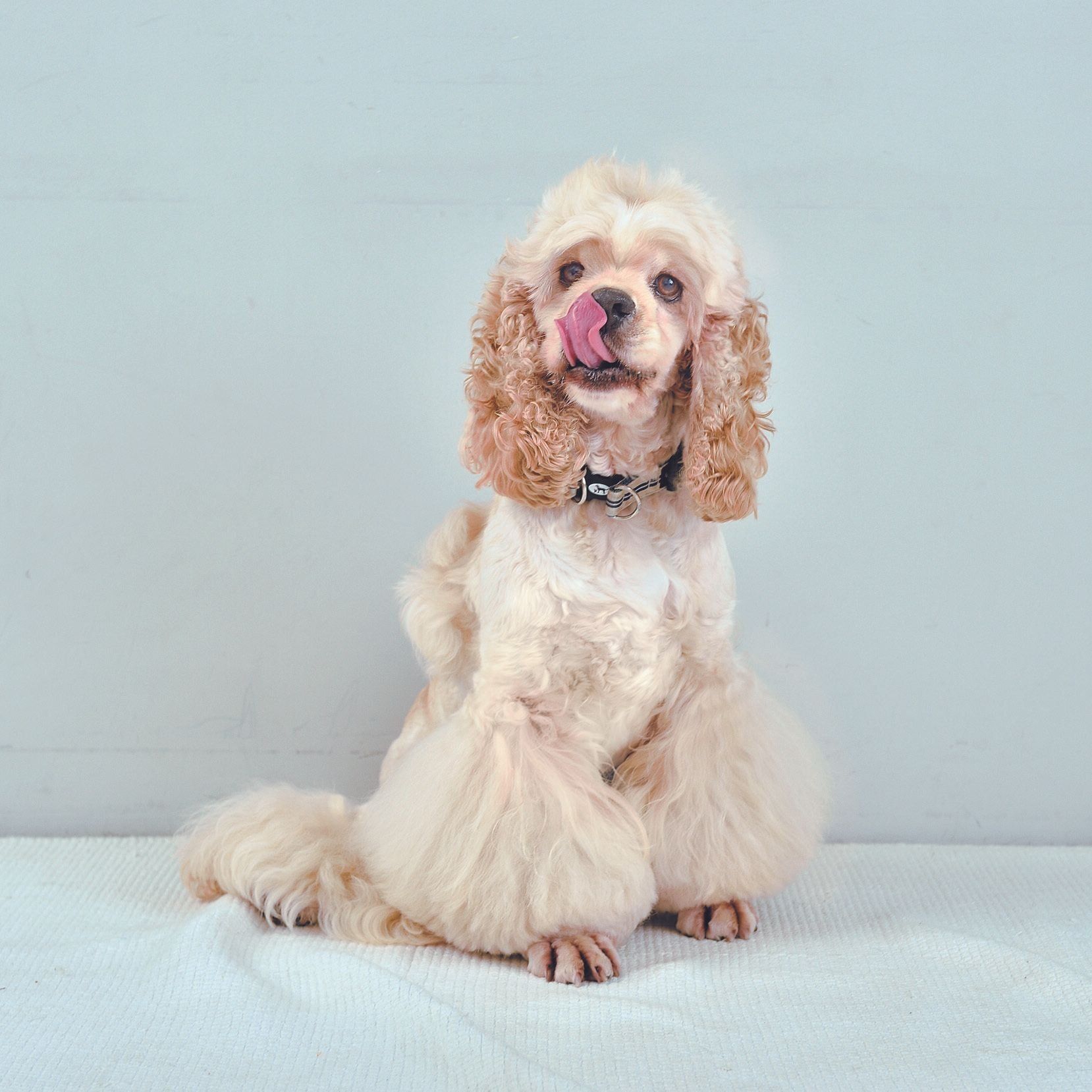 撮影／佐藤正之