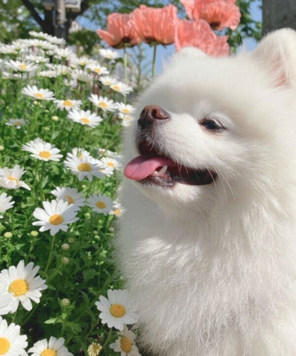 笑顔のレイちゃん