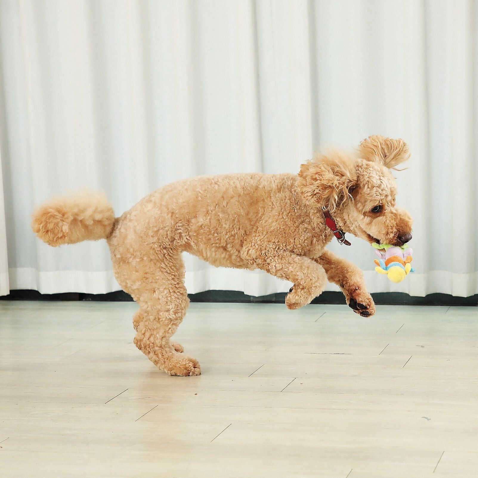 撮影／尾﨑たまき