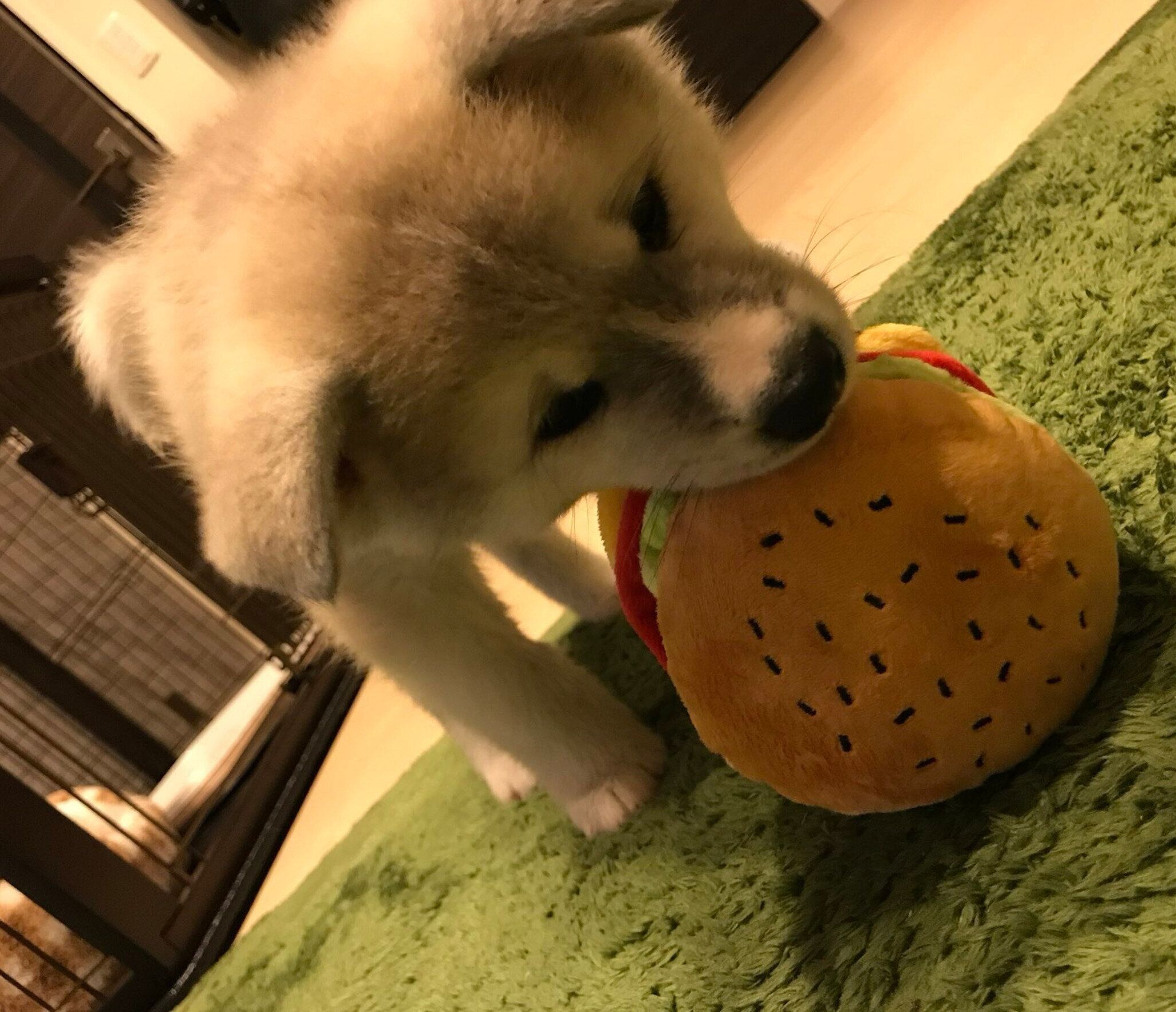 生後2カ月のころの凛太郎くん