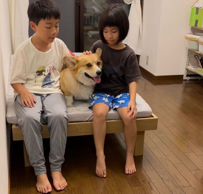 娘さんの部屋に“仲良しきょうだい”が集合!