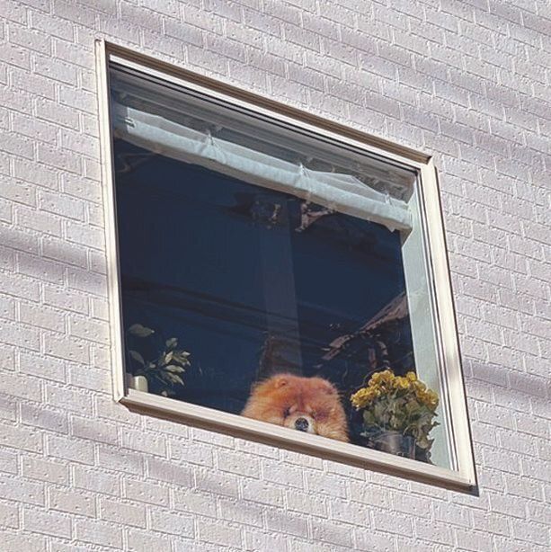 道行く人と目が合う！