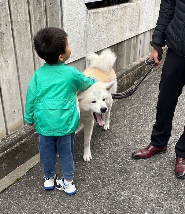 散歩中の凛太郎くん