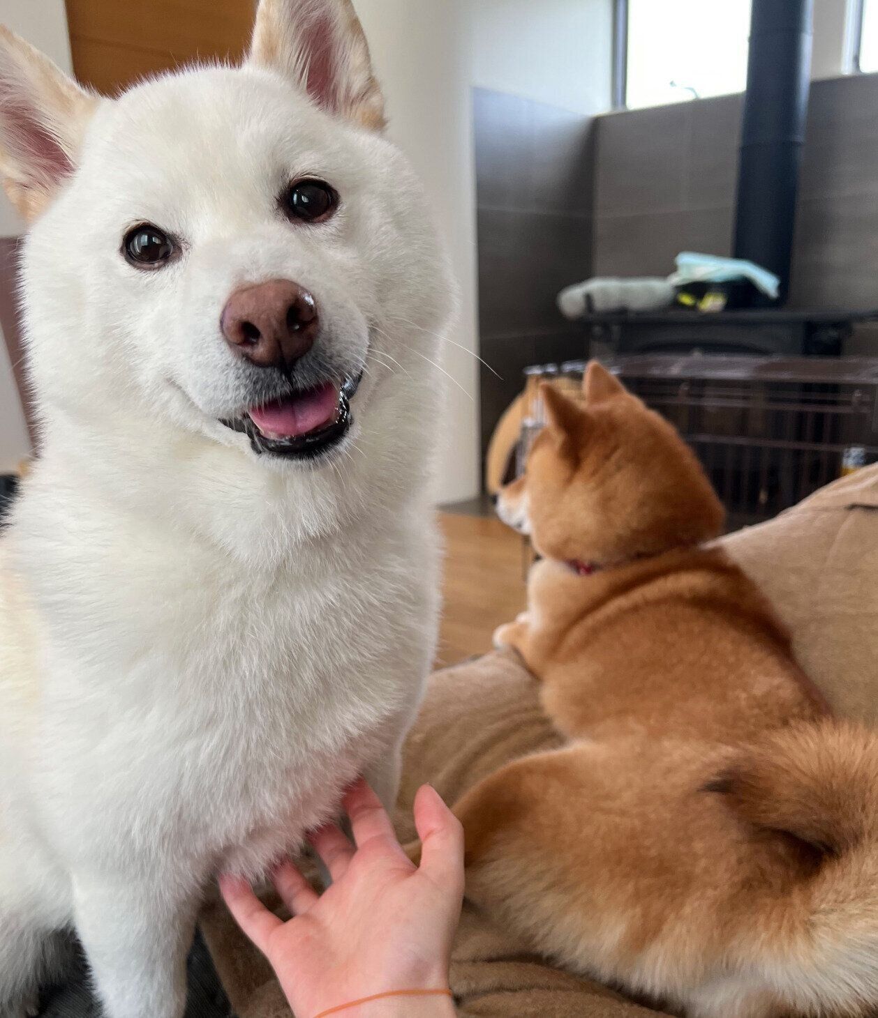 ニコニコ顔なしらたまちゃん