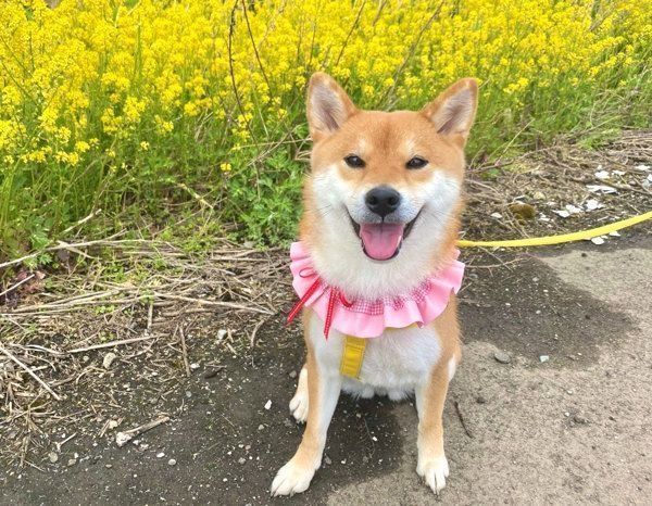 笑顔のゆきちゃん