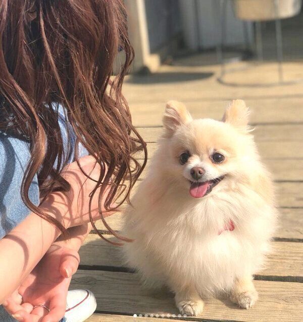 笑顔のむぎちゃん