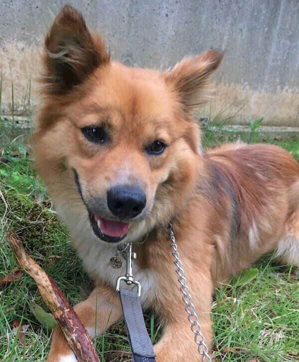 笑顔が可愛いトリスタンくん