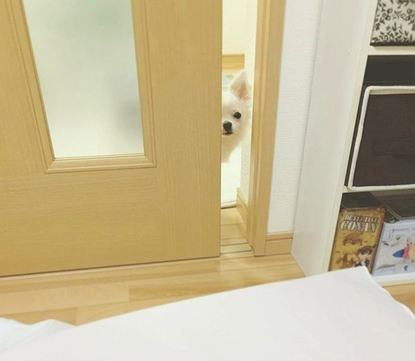 ドアの隙間から顔を覗かせる寛太ちゃん