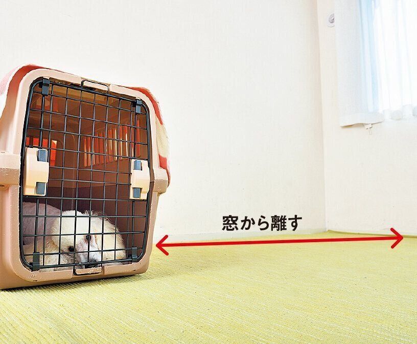 撮影／佐藤正之