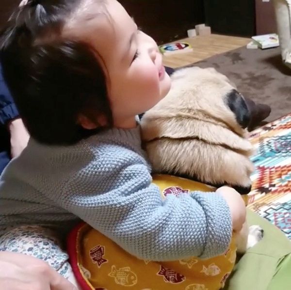 パグを抱っこする女の子